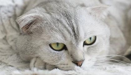 2025年最新正规捐卵机构怎么联系推荐(今日分享捐卵在线咨询)