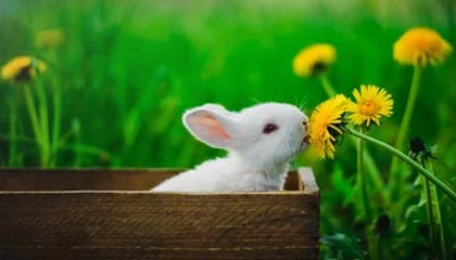 2025年最新上海有偿供卵招聘推荐(今日分享太原有偿供卵公司)